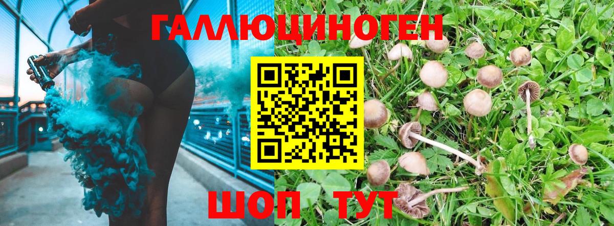 Тверь  Галлюциногенные грибы ЛСД  Вход с VPN 