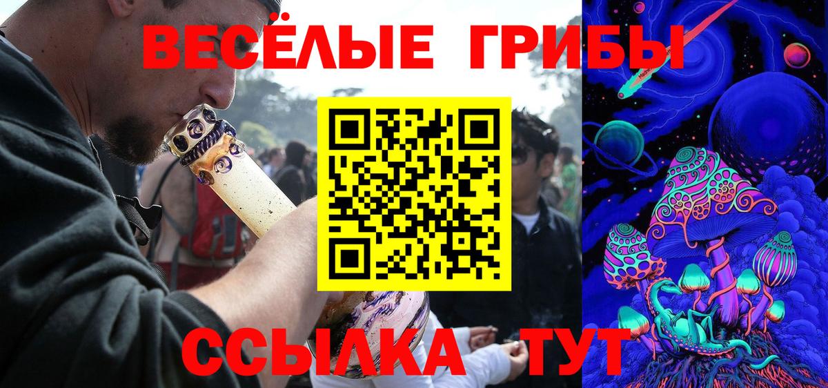 Псилоцибиновые грибы MAGIC MUSHROOMS Тверь